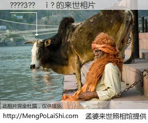 #孟婆来世照相馆# 【????3??��? 来世的未来相片】一碗梦婆汤，忘却了今生爱与痛，了无牵挂进入轮回。再相遇，已是天涯陌路人。可否借我一双慧眼，看清今生与来世？孟婆来世照相馆，触摸你的未来。????3??��? 来世的未来相片，有图有真相：