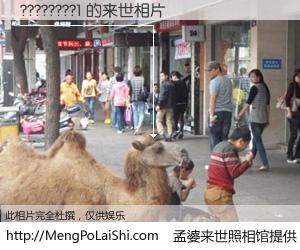 #孟婆来世照相馆# 【????????1 来世的未来相片】一碗梦婆汤，忘却了今生爱与痛，了无牵挂进入轮回。再相遇，已是天涯陌路人。可否借我一双慧眼，看清今生与来世？孟婆来世照相馆，触摸你的未来。????????1 来世的未来相片，有图有真相：
