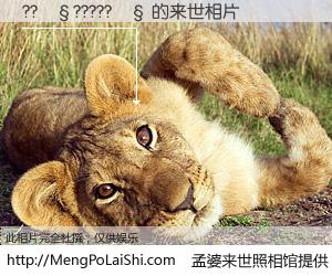 #孟婆来世照相馆# 【??��?????�� 来世的未来相片】一碗梦婆汤，忘却了今生爱与痛，了无牵挂进入轮回。再相遇，已是天涯陌路人。可否借我一双慧眼，看清今生与来世？孟婆来世照相馆，触摸你的未来。??��?????�� 来世的未来相片，有图有真相：