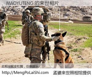 #孟婆来世照相馆# 【MAOYUTENG 来世的未来相片】一碗梦婆汤，忘却了今生爱与痛，了无牵挂进入轮回。再相遇，已是天涯陌路人。可否借我一双慧眼，看清今生与来世？孟婆来世照相馆，触摸你的未来。MAOYUTENG 来世的未来相片，有图有真相：