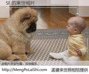 #孟婆来世照相馆# 【SF 来世的未来相片】一碗梦婆汤，忘却了今生爱与痛，了无牵挂进入轮回。再相遇，已是天涯陌路人。可否借我一双慧眼，看清今生与来世？孟婆来世照相馆，触摸你的未来。SF 来世的未来相片，有图有真相：