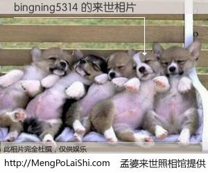 #孟婆来世照相馆# 【bingning5314 来世的未来相片】一碗梦婆汤，忘却了今生爱与痛，了无牵挂进入轮回。再相遇，已是天涯陌路人。可否借我一双慧眼，看清今生与来世？孟婆来世照相馆，触摸你的未来。bingning5314 来世的未来相片，有图有真相：