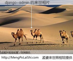 #孟婆来世照相馆# 【django-admin 来世的未来相片】一碗梦婆汤，忘却了今生爱与痛，了无牵挂进入轮回。再相遇，已是天涯陌路人。可否借我一双慧眼，看清今生与来世？孟婆来世照相馆，触摸你的未来。django-admin 来世的未来相片，有图有真相：