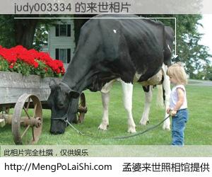 #孟婆来世照相馆# 【judy003334 来世的未来相片】一碗梦婆汤，忘却了今生爱与痛，了无牵挂进入轮回。再相遇，已是天涯陌路人。可否借我一双慧眼，看清今生与来世？孟婆来世照相馆，触摸你的未来。judy003334 来世的未来相片，有图有真相：