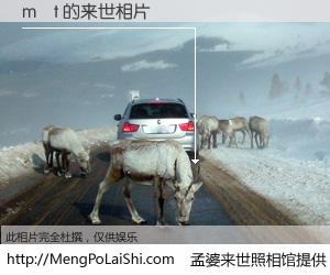 #孟婆来世照相馆# 【m t 来世的未来相片】一碗梦婆汤，忘却了今生爱与痛，了无牵挂进入轮回。再相遇，已是天涯陌路人。可否借我一双慧眼，看清今生与来世？孟婆来世照相馆，触摸你的未来。m t 来世的未来相片，有图有真相：