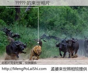 #孟婆来世照相馆# 【��????? 来世的未来相片】一碗梦婆汤，忘却了今生爱与痛，了无牵挂进入轮回。再相遇，已是天涯陌路人。可否借我一双慧眼，看清今生与来世？孟婆来世照相馆，触摸你的未来。��????? 来世的未来相片，有图有真相：