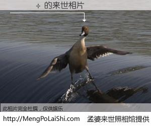 #孟婆来世照相馆# 【���� 来世的未来相片】一碗梦婆汤，忘却了今生爱与痛，了无牵挂进入轮回。再相遇，已是天涯陌路人。可否借我一双慧眼，看清今生与来世？孟婆来世照相馆，触摸你的未来。���� 来世的未来相片，有图有真相：