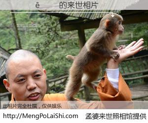 #孟婆来世照相馆# 【������ 来世的未来相片】一碗梦婆汤，忘却了今生爱与痛，了无牵挂进入轮回。再相遇，已是天涯陌路人。可否借我一双慧眼，看清今生与来世？孟婆来世照相馆，触摸你的未来。������ 来世的未来相片，有图有真相：