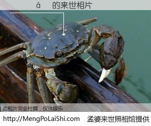 #孟婆来世照相馆# 【����ܲ 来世的未来相片】一碗梦婆汤，忘却了今生爱与痛，了无牵挂进入轮回。再相遇，已是天涯陌路人。可否借我一双慧眼，看清今生与来世？孟婆来世照相馆，触摸你的未来。����ܲ 来世的未来相片，有图有真相：