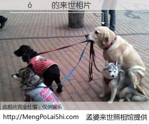 #孟婆来世照相馆# 【�ű� 来世的未来相片】一碗梦婆汤，忘却了今生爱与痛，了无牵挂进入轮回。再相遇，已是天涯陌路人。可否借我一双慧眼，看清今生与来世？孟婆来世照相馆，触摸你的未来。�ű� 来世的未来相片，有图有真相：