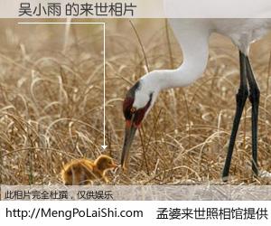 #孟婆来世照相馆# 【吴小雨 来世的未来相片】一碗梦婆汤，忘却了今生爱与痛，了无牵挂进入轮回。再相遇，已是天涯陌路人。可否借我一双慧眼，看清今生与来世？孟婆来世照相馆，触摸你的未来。吴小雨 来世的未来相片，有图有真相：