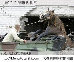 #孟婆来世照相馆# 【官丫丫 来世的未来相片】一碗梦婆汤，忘却了今生爱与痛，了无牵挂进入轮回。再相遇，已是天涯陌路人。可否借我一双慧眼，看清今生与来世？孟婆来世照相馆，触摸你的未来。官丫丫 来世的未来相片，有图有真相：