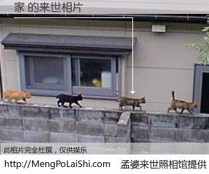 #孟婆来世照相馆# 【家 来世的未来相片】一碗梦婆汤，忘却了今生爱与痛，了无牵挂进入轮回。再相遇，已是天涯陌路人。可否借我一双慧眼，看清今生与来世？孟婆来世照相馆，触摸你的未来。家 来世的未来相片，有图有真相：