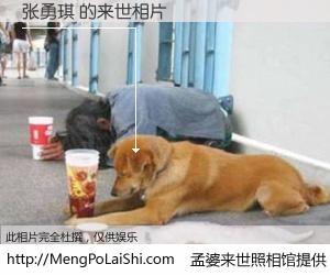 #孟婆来世照相馆# 【张勇琪 来世的未来相片】一碗梦婆汤，忘却了今生爱与痛，了无牵挂进入轮回。再相遇，已是天涯陌路人。可否借我一双慧眼，看清今生与来世？孟婆来世照相馆，触摸你的未来。张勇琪 来世的未来相片，有图有真相：