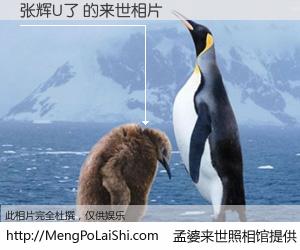 #孟婆来世照相馆# 【张辉U了 来世的未来相片】一碗梦婆汤，忘却了今生爱与痛，了无牵挂进入轮回。再相遇，已是天涯陌路人。可否借我一双慧眼，看清今生与来世？孟婆来世照相馆，触摸你的未来。张辉U了 来世的未来相片，有图有真相：