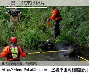 #孟婆来世照相馆# 【張峰銘 来世的未来相片】一碗梦婆汤，忘却了今生爱与痛，了无牵挂进入轮回。再相遇，已是天涯陌路人。可否借我一双慧眼，看清今生与来世？孟婆来世照相馆，触摸你的未来。張峰銘 来世的未来相片，有图有真相：