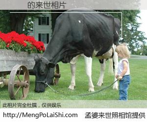 #孟婆来世照相馆# 【張瑋 来世的未来相片】一碗梦婆汤，忘却了今生爱与痛，了无牵挂进入轮回。再相遇，已是天涯陌路人。可否借我一双慧眼，看清今生与来世？孟婆来世照相馆，触摸你的未来。張瑋 来世的未来相片，有图有真相：