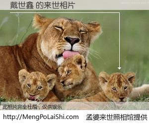 #孟婆来世照相馆# 【戴世鑫 来世的未来相片】一碗梦婆汤，忘却了今生爱与痛，了无牵挂进入轮回。再相遇，已是天涯陌路人。可否借我一双慧眼，看清今生与来世？孟婆来世照相馆，触摸你的未来。戴世鑫 来世的未来相片，有图有真相：