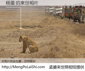 #孟婆来世照相馆# 【杨蛋 来世的未来相片】一碗梦婆汤，忘却了今生爱与痛，了无牵挂进入轮回。再相遇，已是天涯陌路人。可否借我一双慧眼，看清今生与来世？孟婆来世照相馆，触摸你的未来。杨蛋 来世的未来相片，有图有真相：