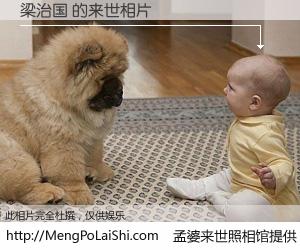 #孟婆来世照相馆# 【梁治国 来世的未来相片】一碗梦婆汤，忘却了今生爱与痛，了无牵挂进入轮回。再相遇，已是天涯陌路人。可否借我一双慧眼，看清今生与来世？孟婆来世照相馆，触摸你的未来。梁治国 来世的未来相片，有图有真相：