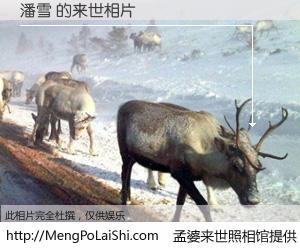 #孟婆来世照相馆# 【潘雪 来世的未来相片】一碗梦婆汤，忘却了今生爱与痛，了无牵挂进入轮回。再相遇，已是天涯陌路人。可否借我一双慧眼，看清今生与来世？孟婆来世照相馆，触摸你的未来。潘雪 来世的未来相片，有图有真相：