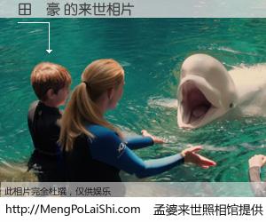#孟婆来世照相馆# 【田珅豪 来世的未来相片】一碗梦婆汤，忘却了今生爱与痛，了无牵挂进入轮回。再相遇，已是天涯陌路人。可否借我一双慧眼，看清今生与来世？孟婆来世照相馆，触摸你的未来。田珅豪 来世的未来相片，有图有真相：