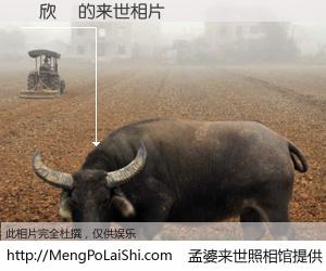 #孟婆来世照相馆# 【賴欣鈴 来世的未来相片】一碗梦婆汤，忘却了今生爱与痛，了无牵挂进入轮回。再相遇，已是天涯陌路人。可否借我一双慧眼，看清今生与来世？孟婆来世照相馆，触摸你的未来。賴欣鈴 来世的未来相片，有图有真相：