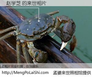 #孟婆来世照相馆# 【赵学芝 来世的未来相片】一碗梦婆汤，忘却了今生爱与痛，了无牵挂进入轮回。再相遇，已是天涯陌路人。可否借我一双慧眼，看清今生与来世？孟婆来世照相馆，触摸你的未来。赵学芝 来世的未来相片，有图有真相：