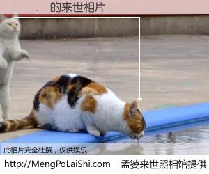 #孟婆来世照相馆# 【鐜嬪． 来世的未来相片】一碗梦婆汤，忘却了今生爱与痛，了无牵挂进入轮回。再相遇，已是天涯陌路人。可否借我一双慧眼，看清今生与来世？孟婆来世照相馆，触摸你的未来。鐜嬪． 来世的未来相片，有图有真相：