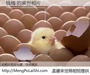 #孟婆来世照相馆# 【钱梅 来世的未来相片】一碗梦婆汤，忘却了今生爱与痛，了无牵挂进入轮回。再相遇，已是天涯陌路人。可否借我一双慧眼，看清今生与来世？孟婆来世照相馆，触摸你的未来。钱梅 来世的未来相片，有图有真相：