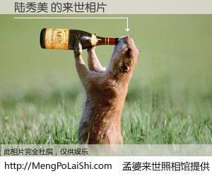 #孟婆来世照相馆# 【陆秀美 来世的未来相片】一碗梦婆汤，忘却了今生爱与痛，了无牵挂进入轮回。再相遇，已是天涯陌路人。可否借我一双慧眼，看清今生与来世？孟婆来世照相馆，触摸你的未来。陆秀美 来世的未来相片，有图有真相：