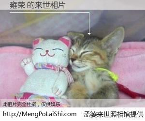 #孟婆来世照相馆# 【雍荣 来世的未来相片】一碗梦婆汤，忘却了今生爱与痛，了无牵挂进入轮回。再相遇，已是天涯陌路人。可否借我一双慧眼，看清今生与来世？孟婆来世照相馆，触摸你的未来。雍荣 来世的未来相片，有图有真相：