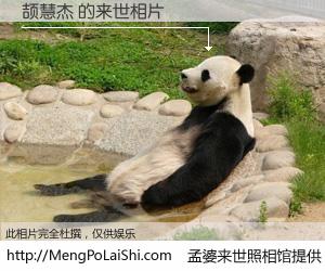 #孟婆来世照相馆# 【颉慧杰 来世的未来相片】一碗梦婆汤，忘却了今生爱与痛，了无牵挂进入轮回。再相遇，已是天涯陌路人。可否借我一双慧眼，看清今生与来世？孟婆来世照相馆，触摸你的未来。颉慧杰 来世的未来相片，有图有真相：