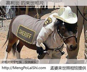 #孟婆来世照相馆# 【高利炎 来世的未来相片】一碗梦婆汤，忘却了今生爱与痛，了无牵挂进入轮回。再相遇，已是天涯陌路人。可否借我一双慧眼，看清今生与来世？孟婆来世照相馆，触摸你的未来。高利炎 来世的未来相片，有图有真相：