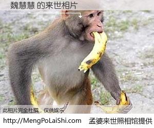 #孟婆来世照相馆# 【魏慧慧 来世的未来相片】一碗梦婆汤，忘却了今生爱与痛，了无牵挂进入轮回。再相遇，已是天涯陌路人。可否借我一双慧眼，看清今生与来世？孟婆来世照相馆，触摸你的未来。魏慧慧 来世的未来相片，有图有真相：