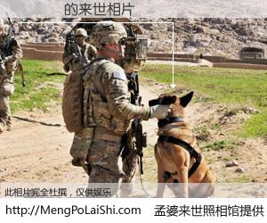 #孟婆来世照相馆# 【黃鈞瑋 来世的未来相片】一碗梦婆汤，忘却了今生爱与痛，了无牵挂进入轮回。再相遇，已是天涯陌路人。可否借我一双慧眼，看清今生与来世？孟婆来世照相馆，触摸你的未来。黃鈞瑋 来世的未来相片，有图有真相：