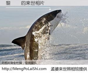 #孟婆来世照相馆# 【黎偉業 来世的未来相片】一碗梦婆汤，忘却了今生爱与痛，了无牵挂进入轮回。再相遇，已是天涯陌路人。可否借我一双慧眼，看清今生与来世？孟婆来世照相馆，触摸你的未来。黎偉業 来世的未来相片，有图有真相：