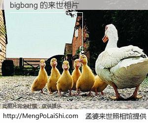 #孟婆来世照相馆# 【bigbang 来世的未来相片】一碗梦婆汤，忘却了今生爱与痛，了无牵挂进入轮回。再相遇，已是天涯陌路人。可否借我一双慧眼，看清今生与来世？孟婆来世照相馆，触摸你的未来。bigbang 来世的未来相片，有图有真相：