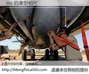 #孟婆来世照相馆# 【dsc 来世的未来相片】一碗梦婆汤，忘却了今生爱与痛，了无牵挂进入轮回。再相遇，已是天涯陌路人。可否借我一双慧眼，看清今生与来世？孟婆来世照相馆，触摸你的未来。dsc 来世的未来相片，有图有真相：