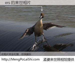 #孟婆来世照相馆# 【ers 来世的未来相片】一碗梦婆汤，忘却了今生爱与痛，了无牵挂进入轮回。再相遇，已是天涯陌路人。可否借我一双慧眼，看清今生与来世？孟婆来世照相馆，触摸你的未来。ers 来世的未来相片，有图有真相：