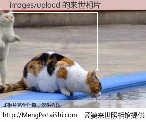 #孟婆来世照相馆# 【images/upload 来世的未来相片】一碗梦婆汤，忘却了今生爱与痛，了无牵挂进入轮回。再相遇，已是天涯陌路人。可否借我一双慧眼，看清今生与来世？孟婆来世照相馆，触摸你的未来。images/upload 来世的未来相片，有图有真相：