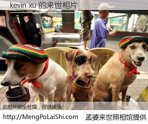 #孟婆来世照相馆# 【kevin xu 来世的未来相片】一碗梦婆汤，忘却了今生爱与痛，了无牵挂进入轮回。再相遇，已是天涯陌路人。可否借我一双慧眼，看清今生与来世？孟婆来世照相馆，触摸你的未来。kevin xu 来世的未来相片，有图有真相：