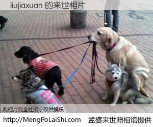 #孟婆来世照相馆# 【liujiaxuan 来世的未来相片】一碗梦婆汤，忘却了今生爱与痛，了无牵挂进入轮回。再相遇，已是天涯陌路人。可否借我一双慧眼，看清今生与来世？孟婆来世照相馆，触摸你的未来。liujiaxuan 来世的未来相片，有图有真相：