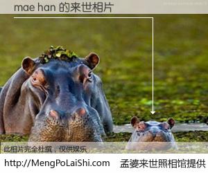 #孟婆来世照相馆# 【mae han 来世的未来相片】一碗梦婆汤，忘却了今生爱与痛，了无牵挂进入轮回。再相遇，已是天涯陌路人。可否借我一双慧眼，看清今生与来世？孟婆来世照相馆，触摸你的未来。mae han 来世的未来相片，有图有真相：