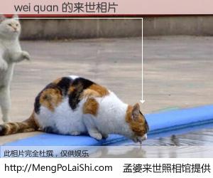 #孟婆来世照相馆# 【wei quan 来世的未来相片】一碗梦婆汤，忘却了今生爱与痛，了无牵挂进入轮回。再相遇，已是天涯陌路人。可否借我一双慧眼，看清今生与来世？孟婆来世照相馆，触摸你的未来。wei quan 来世的未来相片，有图有真相：