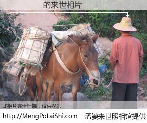 #孟婆来世照相馆# 【Ĳ��˳ 来世的未来相片】一碗梦婆汤，忘却了今生爱与痛，了无牵挂进入轮回。再相遇，已是天涯陌路人。可否借我一双慧眼，看清今生与来世？孟婆来世照相馆，触摸你的未来。Ĳ��˳ 来世的未来相片，有图有真相：