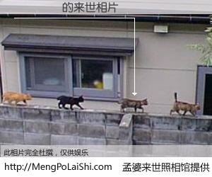 #孟婆来世照相馆# 【Ӧ��ϼ 来世的未来相片】一碗梦婆汤，忘却了今生爱与痛，了无牵挂进入轮回。再相遇，已是天涯陌路人。可否借我一双慧眼，看清今生与来世？孟婆来世照相馆，触摸你的未来。Ӧ��ϼ 来世的未来相片，有图有真相：