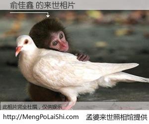 #孟婆来世照相馆# 【俞佳鑫 来世的未来相片】一碗梦婆汤，忘却了今生爱与痛，了无牵挂进入轮回。再相遇，已是天涯陌路人。可否借我一双慧眼，看清今生与来世？孟婆来世照相馆，触摸你的未来。俞佳鑫 来世的未来相片，有图有真相：