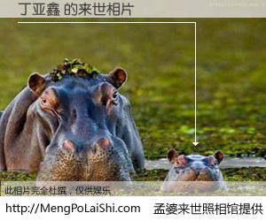 #孟婆来世照相馆# 【丁亚鑫 来世的未来相片】一碗梦婆汤，忘却了今生爱与痛，了无牵挂进入轮回。再相遇，已是天涯陌路人。可否借我一双慧眼，看清今生与来世？孟婆来世照相馆，触摸你的未来。丁亚鑫 来世的未来相片，有图有真相：
