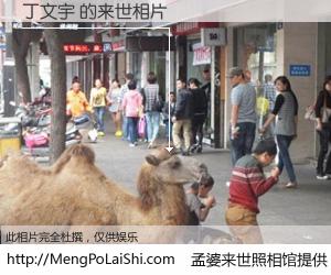 #孟婆来世照相馆# 【丁文宇 来世的未来相片】一碗梦婆汤，忘却了今生爱与痛，了无牵挂进入轮回。再相遇，已是天涯陌路人。可否借我一双慧眼，看清今生与来世？孟婆来世照相馆，触摸你的未来。丁文宇 来世的未来相片，有图有真相：